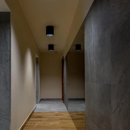 酒店 思卡尔尼酒店 3*