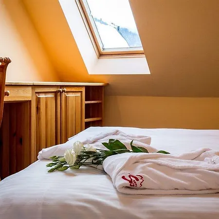 思卡尔尼酒店 3* 扎科帕内