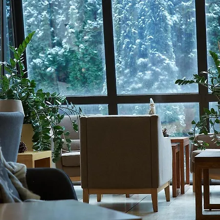 Skalny Hotel 3*
